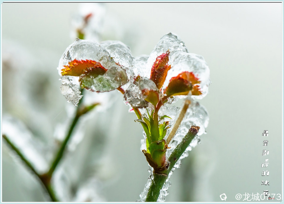 1X4A2628-pp.jpg