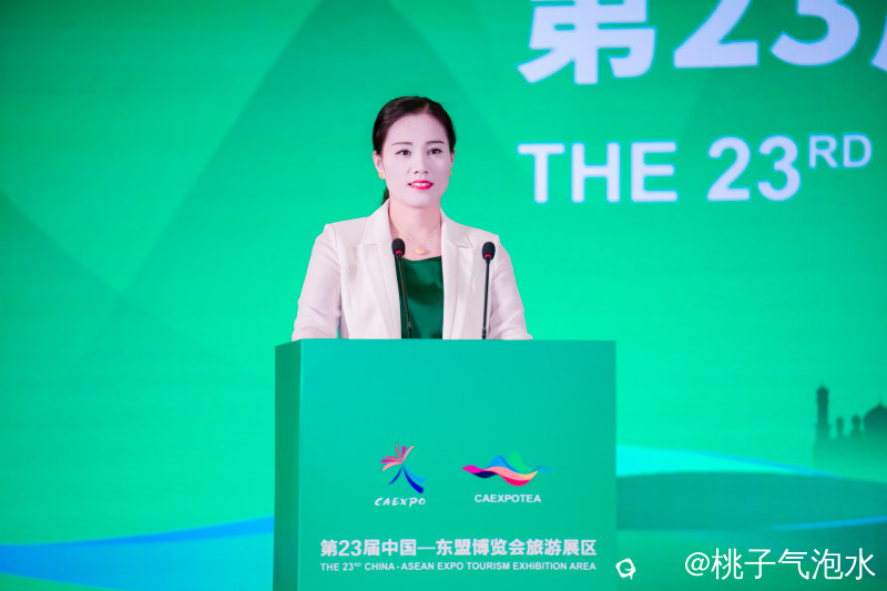 2.广西桂物机电集团总经理卢巧燕作桂林汽车生活广场项目专题推介.jpg