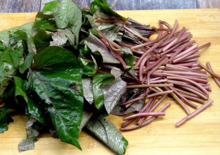 营养价值超高！这种“长寿菜”，建议你多吃！