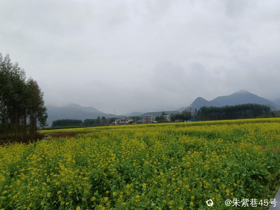 IMG_20240228_102852.jpg