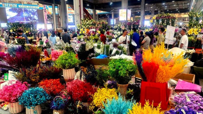 云南昆明游记&mdash;打卡省博物馆、斗南花卉市场&hellip;