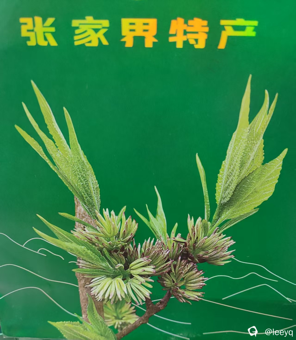 微信图片_20251128154418_167_429.jpg