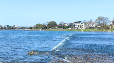 南洲岛今天不要票