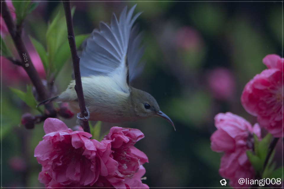 DSC07883_副本.jpg
