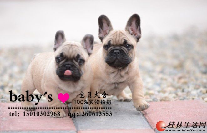 ���ִ��ַ�����ţȮ����Ǯһֻ���ַ�����ţȮ�۸�