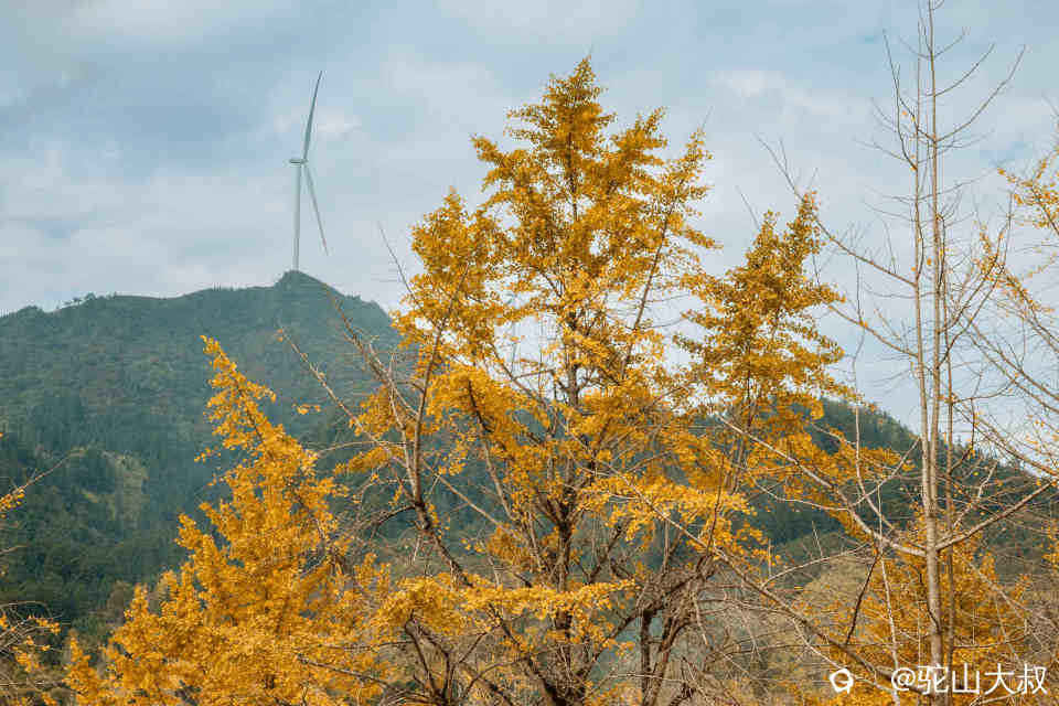 DSC04044-0 - 副本.jpg