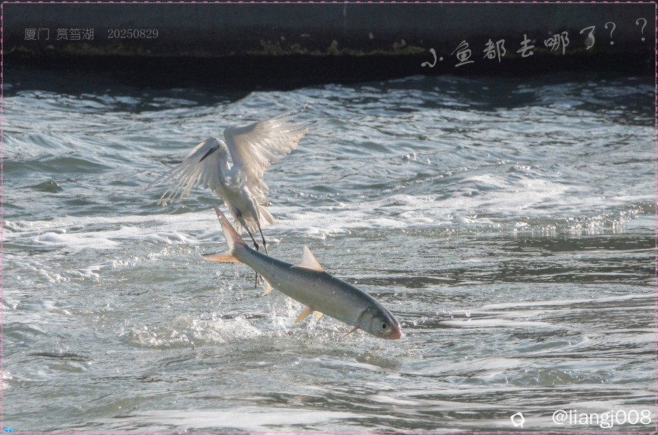 DSC02645_副本.jpg