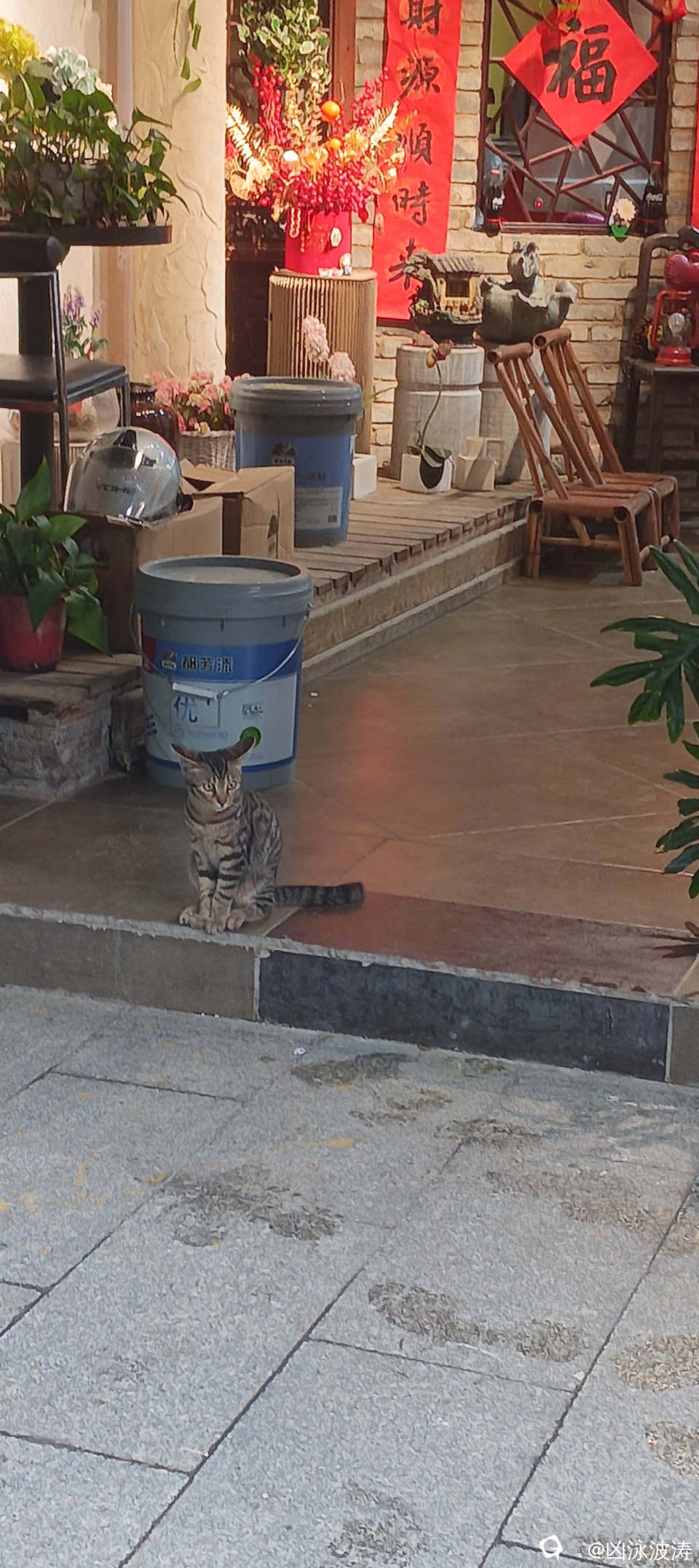 5eccc379-5331-d390-b357-da76a6623fed.jpg