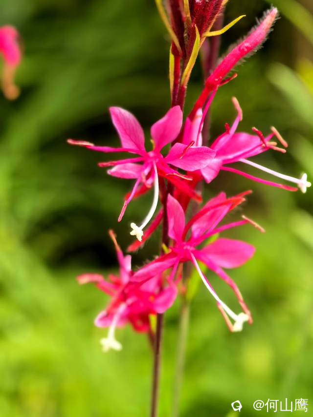 44b8e23b-03ab-b9ff-84d3-55f5ef1842ff.jpg