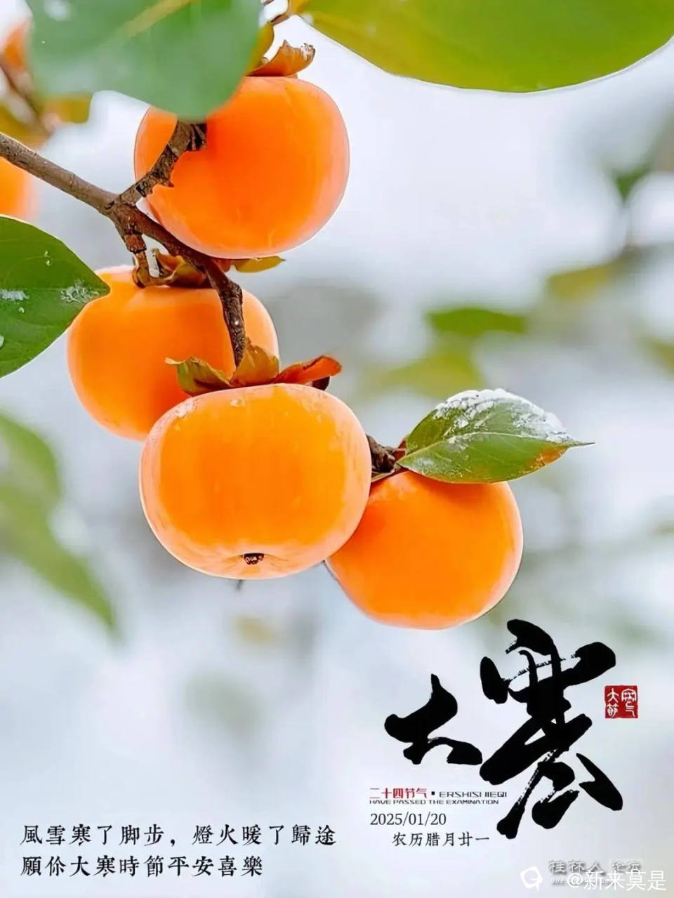 6e23e96db8a24db88717de6dfc2b3617_看图王.jpg