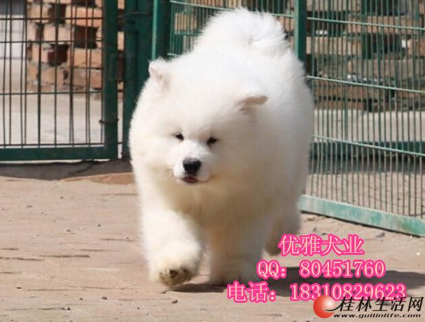 	 ��ĦҮ��Ȯ ���ְİ���ĦҮ��Ȯ���ۿ�ǩЭ��