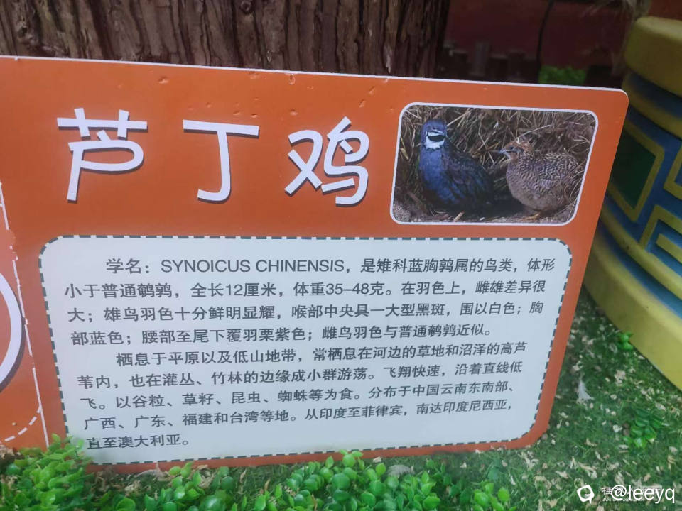 微信图片_20241115185928.jpg