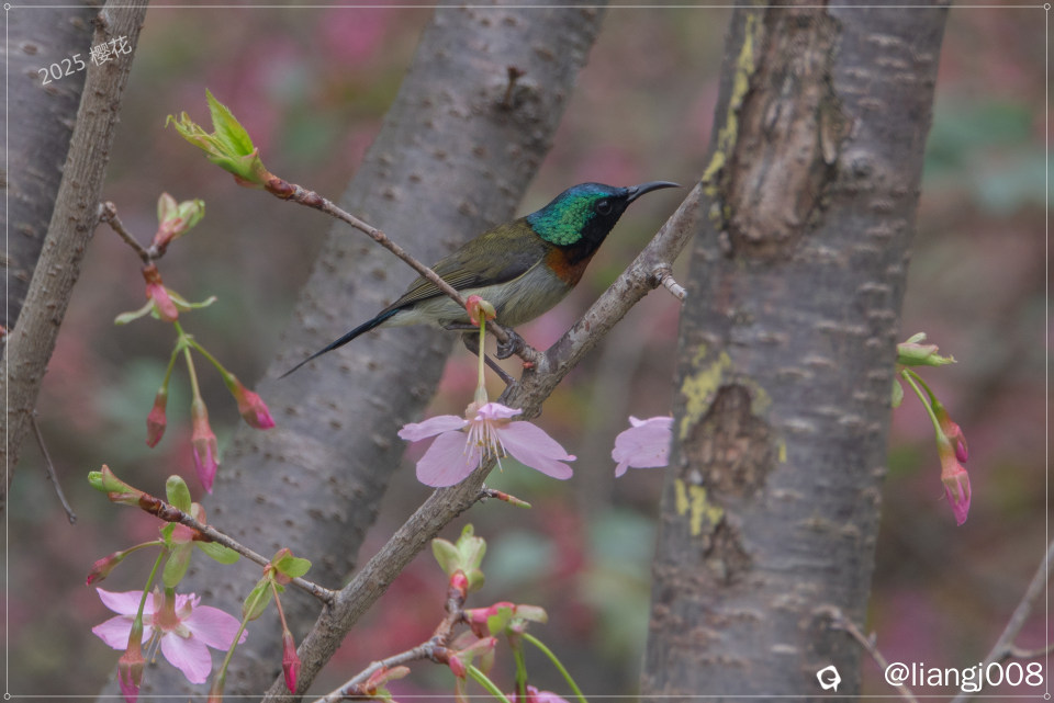 DSC07248_副本.jpg