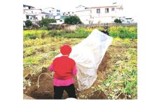 护航春耕 桂林民警把服务&ldquo;搬&rdquo;到田间地头