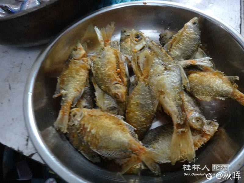 DSC06719_副本.jpg