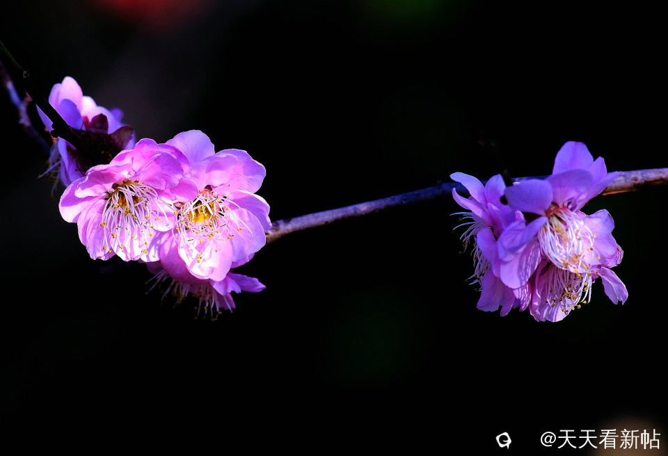 IMG_20240212_210155_副本.jpg