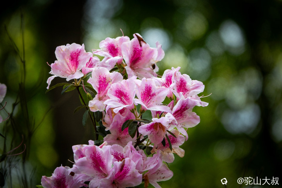 DSC01446-0 - 副本.jpg