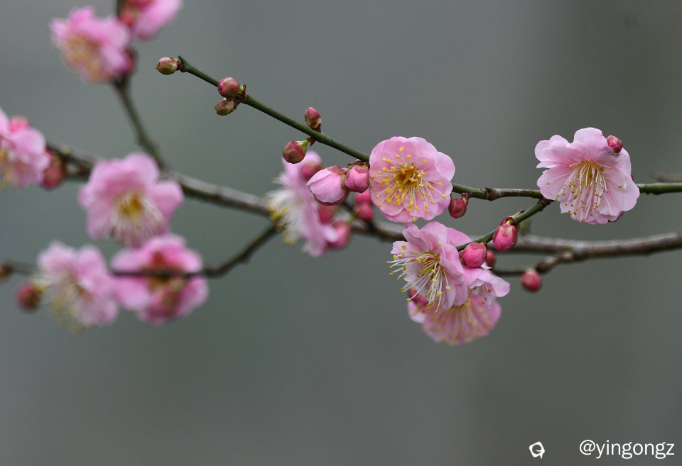 DSC_3360_副本.jpg