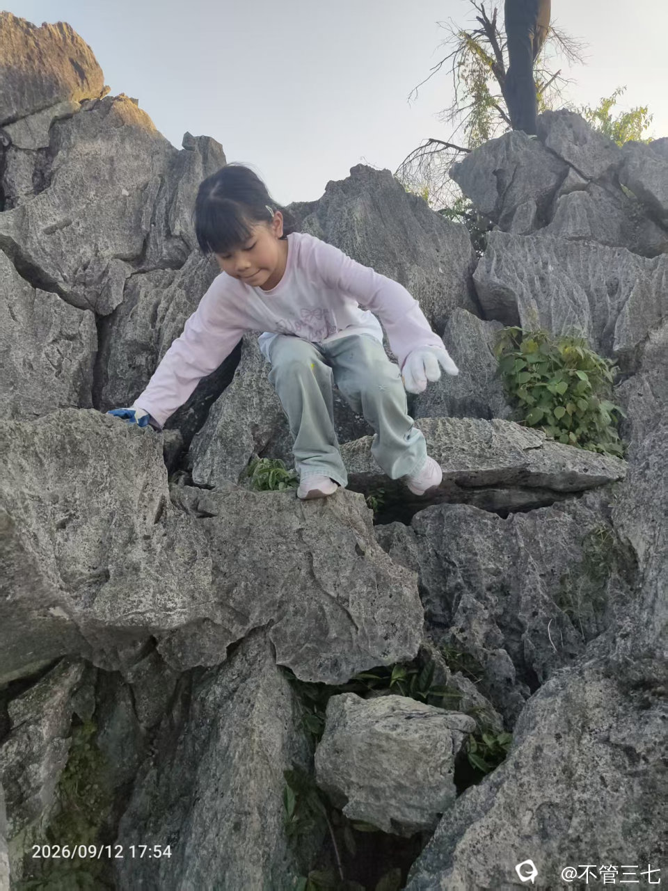 20260913203447_89_288穿山4.jpg