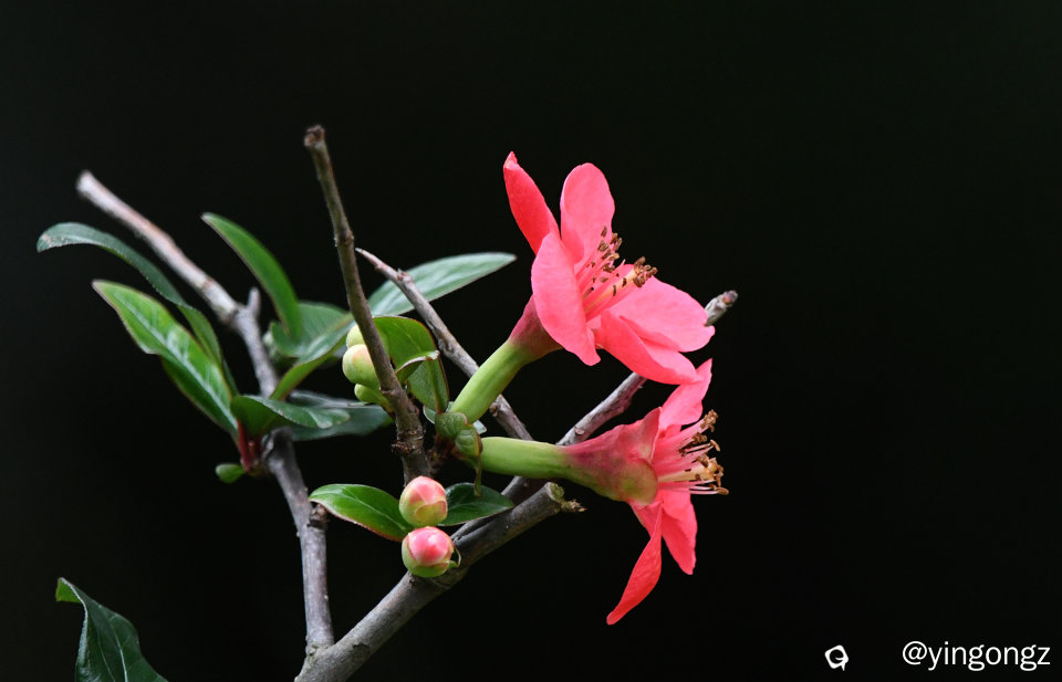 DSC_3251_副本.jpg