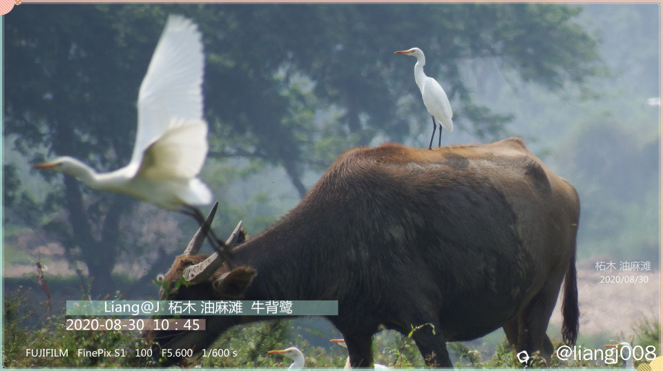 S0823482_副本_副本_副本.jpg
