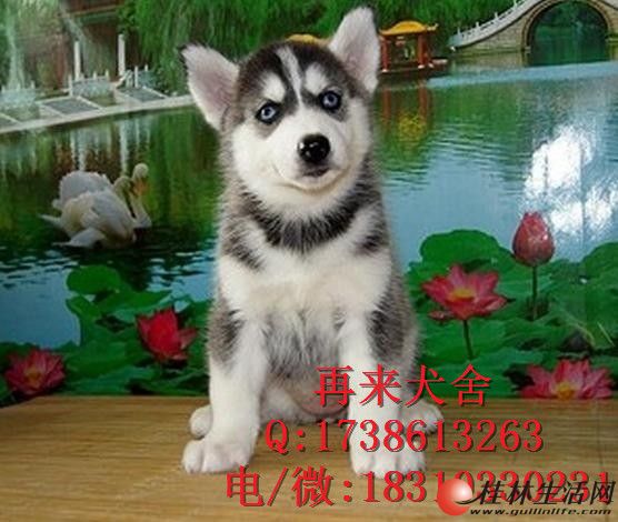 	 ���ֹ�ʿ�����Ǯ ������ʿ�� ���ѻ�˫���۹�ʿ�� ǩ�ʱ�Э��