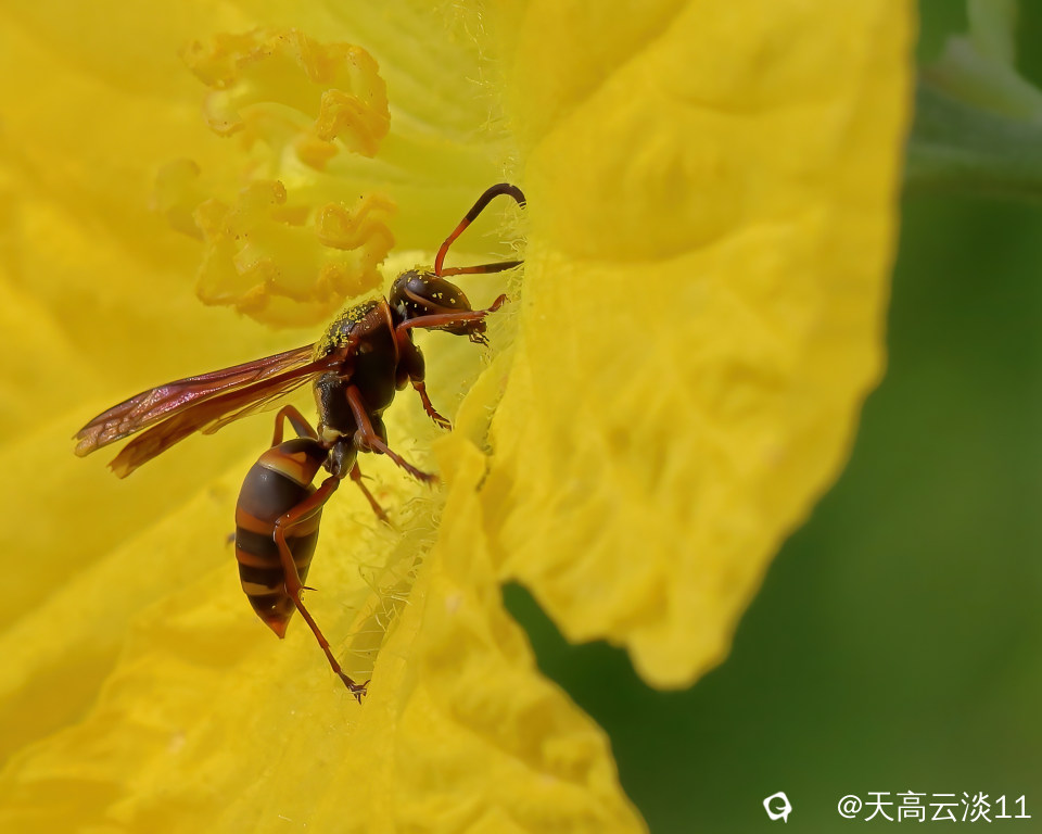 IMG_2554_副本-DeNoiseAI-denoise.jpg