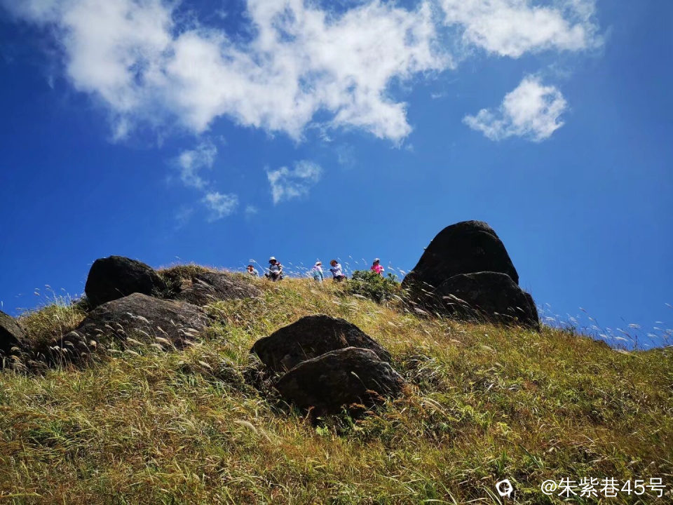 Image_1727607861764.jpg