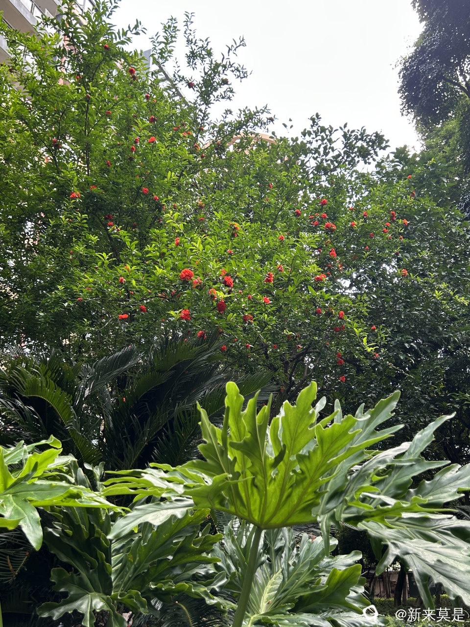 微信图片_20260513183337_301_289.jpg