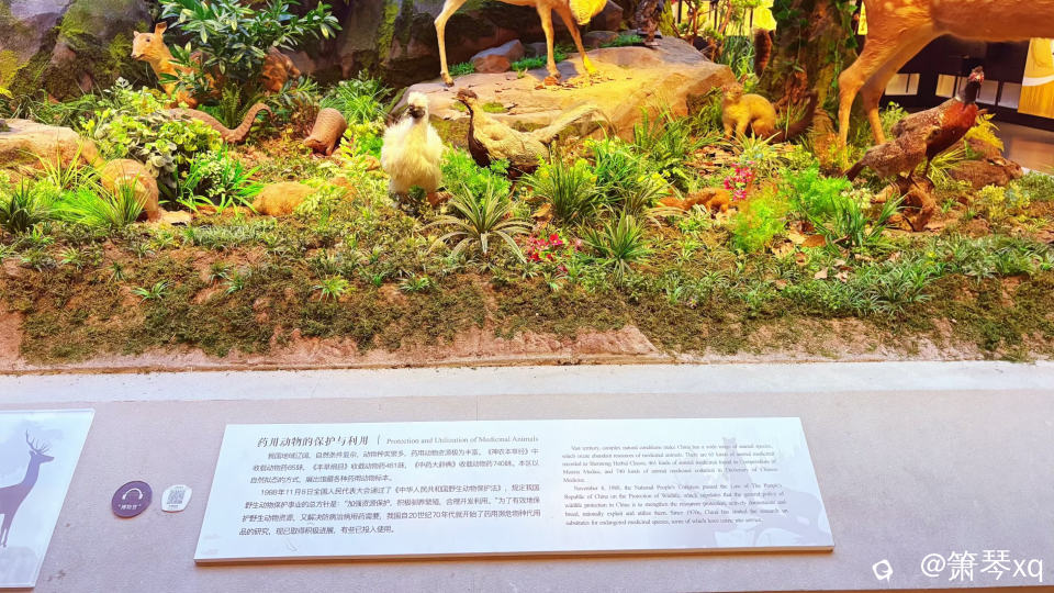 50.jpg