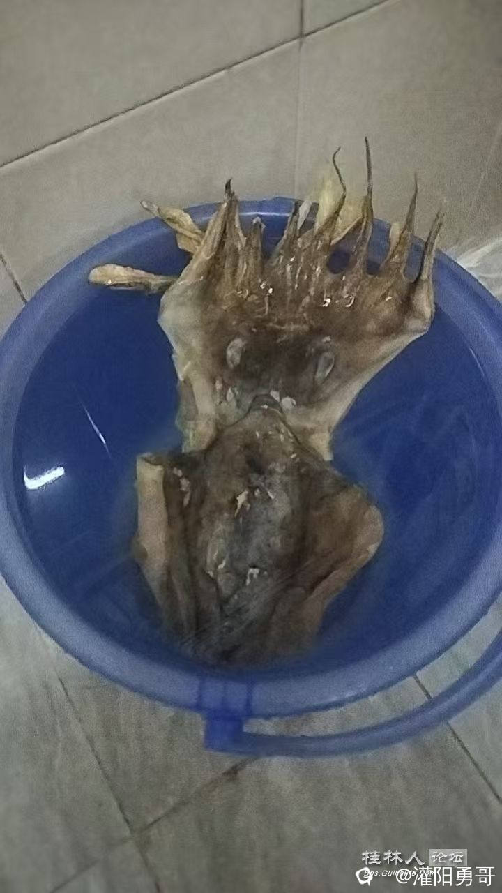微信图片_20241207152041.jpg