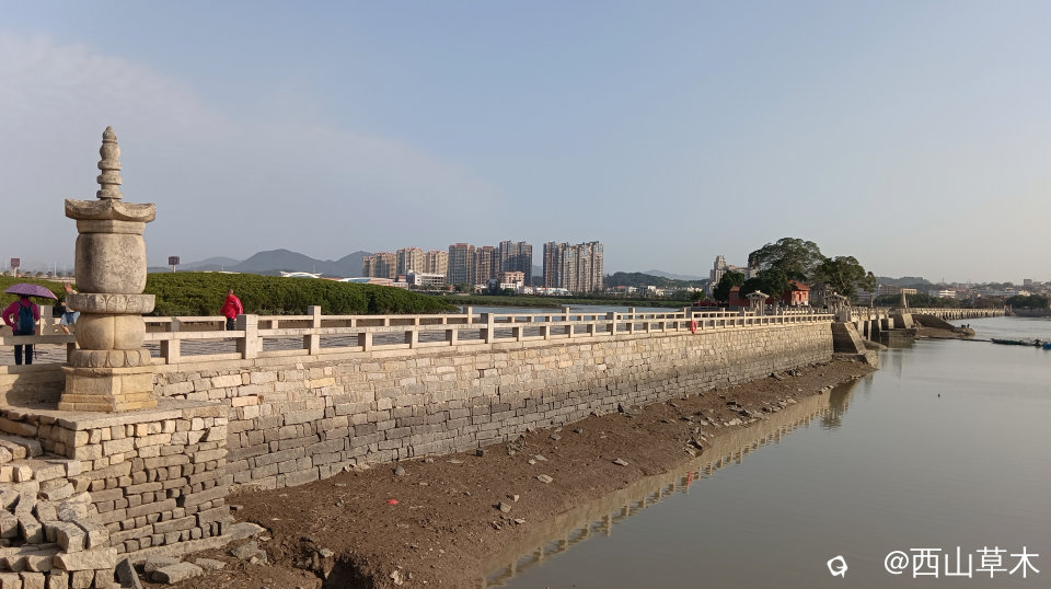 两岸滩涂2.jpg