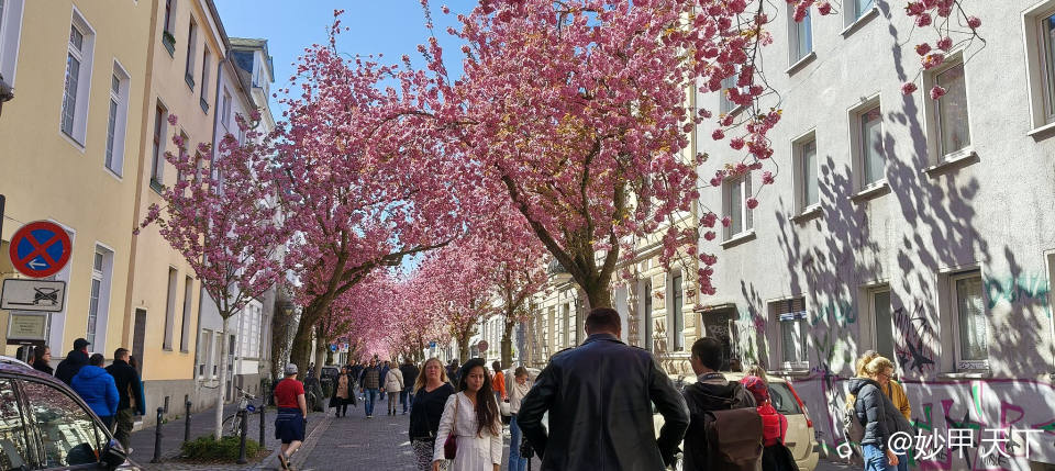 IMG20250406133201 (2).jpg