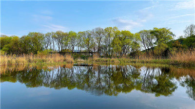 江洋畈生态公园，西湖淤泥疏浚的惊喜