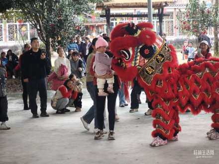 你還記得小時(shí)候看到的舞獅嗎？