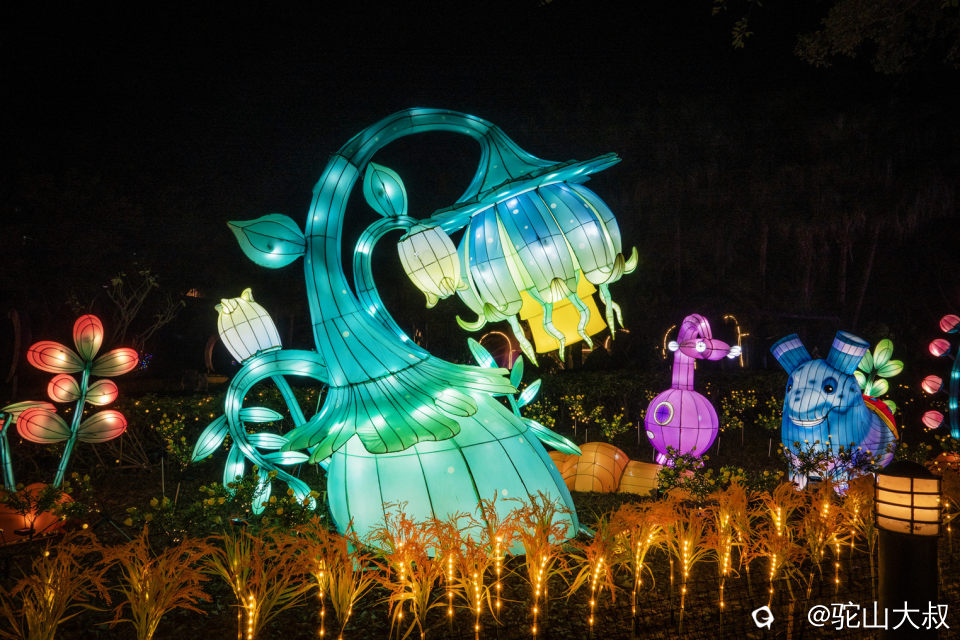 DSC04956-0 - 副本.jpg