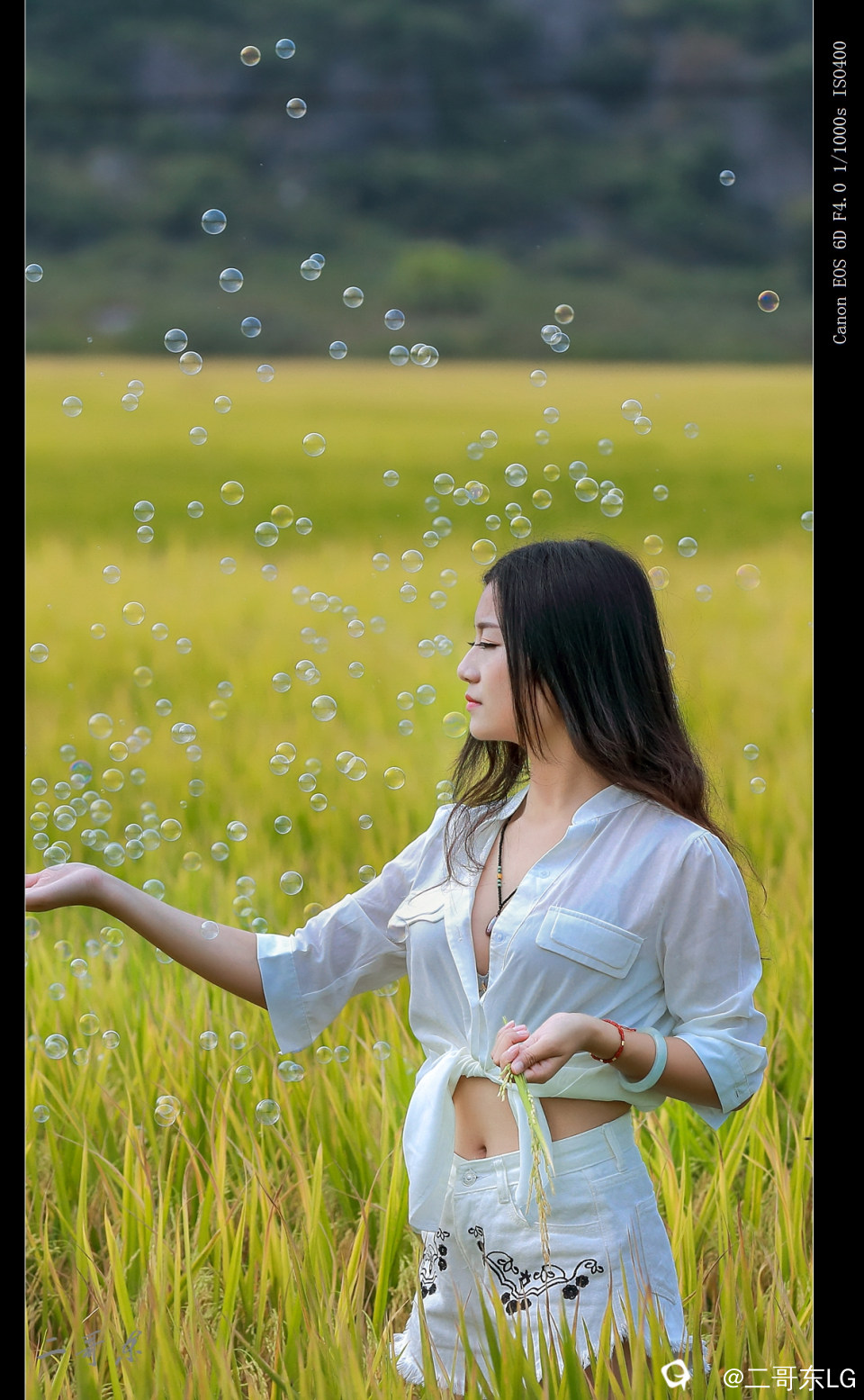谷子熟了 (9).jpg