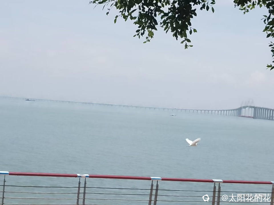 Image_1728107227423.jpg