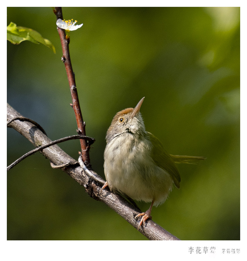 DSCF9483.jpg