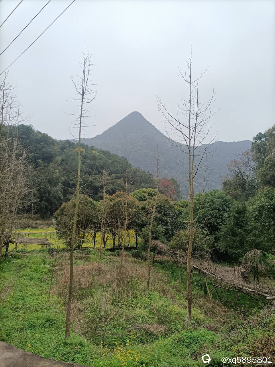 村景1