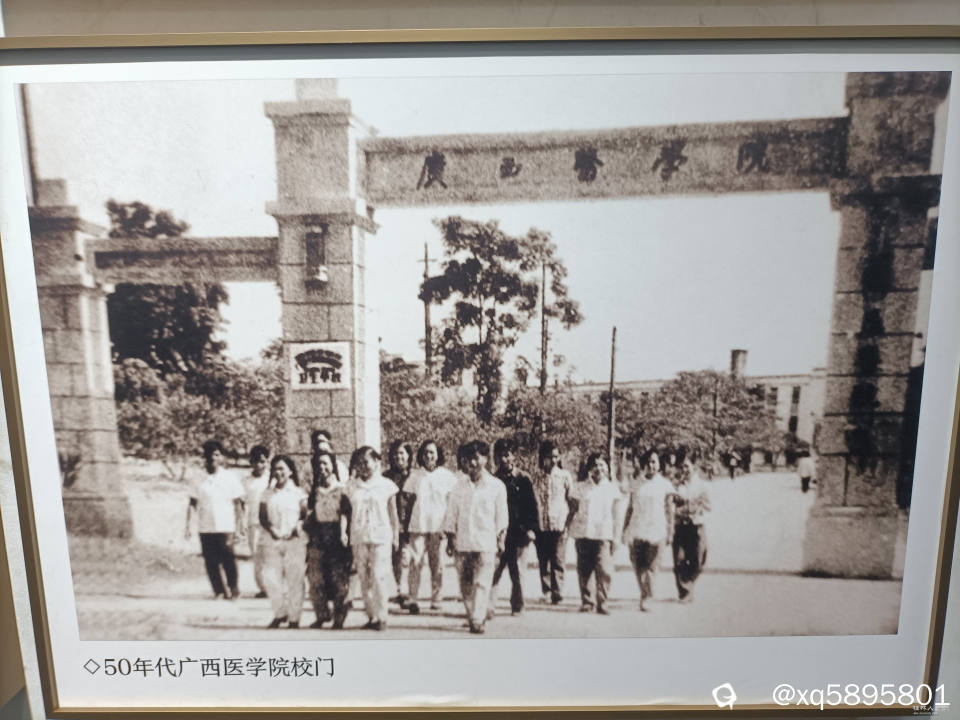 50年代初迁来南宁