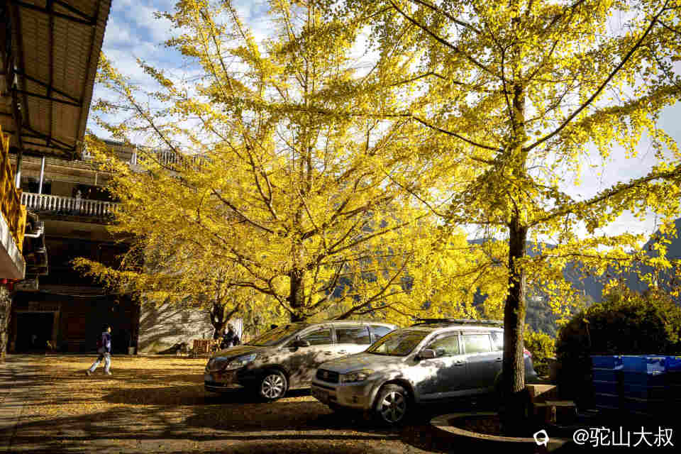 DSC04538-1 - 副本.jpg