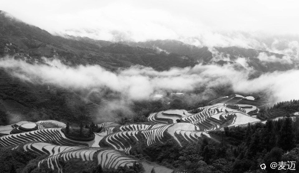 85056566-0E83-47CD-A9AD-35624C6B28E1.jpeg