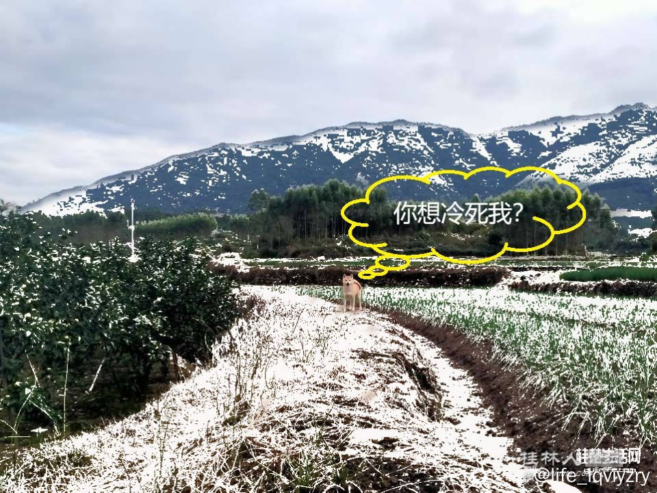 20251207230130front2_0_2251410_Fu9boK8RWM67pnvymQhWCJT2V8z1 (1).jpg