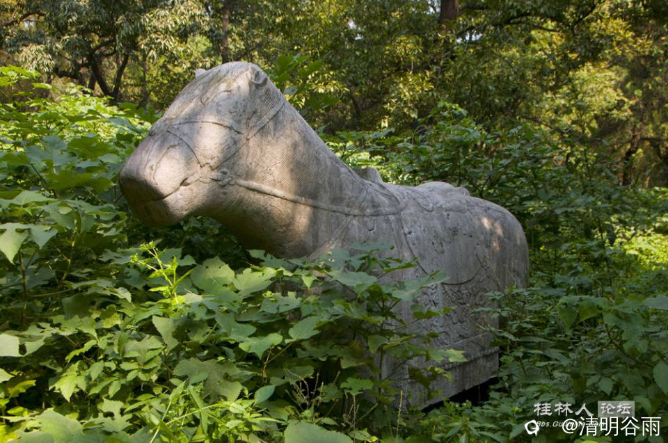 HQ1_5910A.jpg