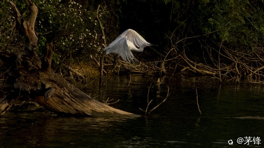 3-DSCF3834.jpg