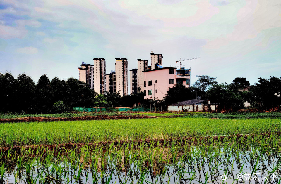 IMG_20240501_190346_edit_331438879390569.jpg