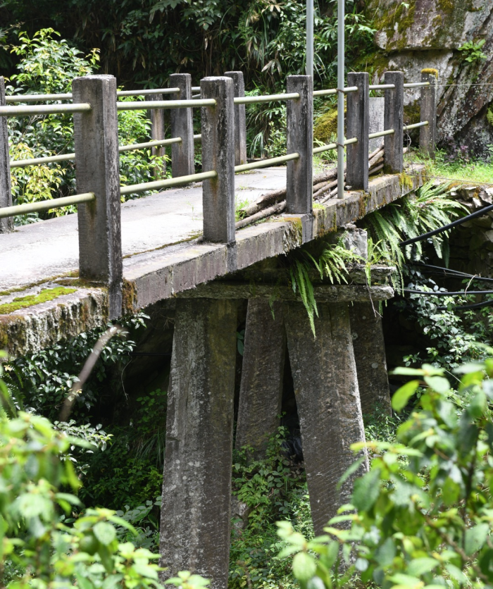DSC_3220.JPG