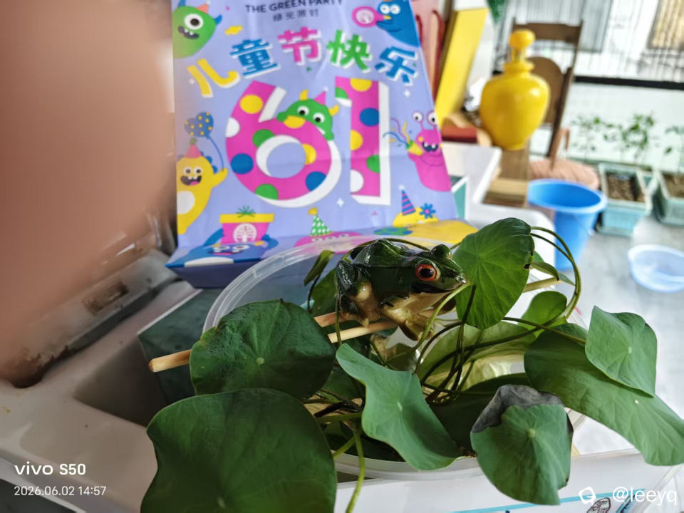 微信图片_20260602164012_156_117.jpg