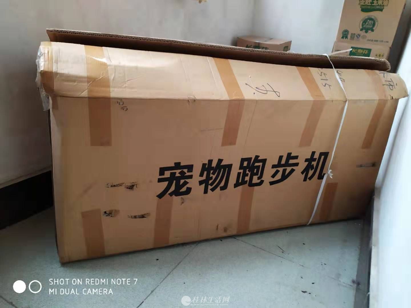 �����ܲ��������ڼ�ѵ��è����С����
